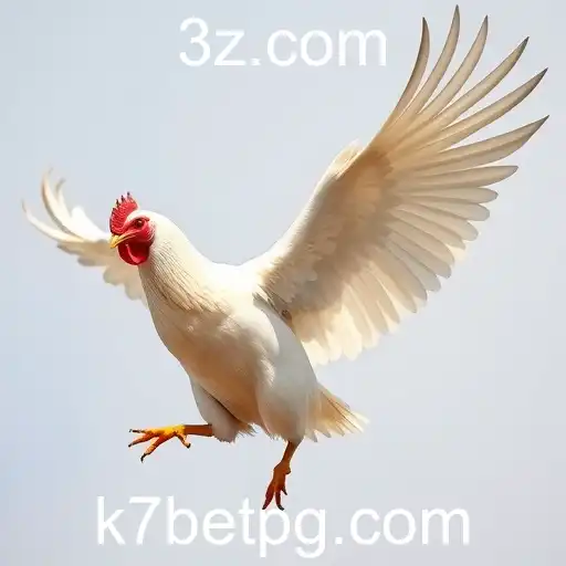 Rinha de Galos: Um Olhar Detalhado sobre a Controvérsia e o Fascínio